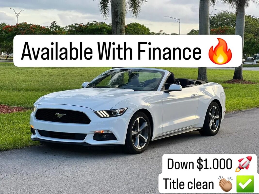453516708_1004584554743655_14078957962285802_n.webp